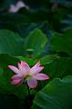 IMG-20230703-WA0002