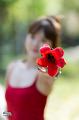 IMG-20250326-WA0029