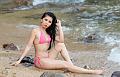 IMG-20220829-WA0233