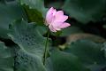 IMG-20250630-WA0109
