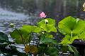 IMG-20250630-WA0110