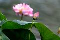 IMG-20250630-WA0111