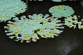 IMG-20250630-WA0112