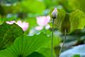 IMG-20250630-WA0113