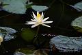 IMG-20250630-WA0115