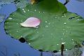 IMG-20250630-WA0116