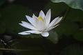 IMG-20250630-WA0117