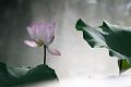 IMG-20250630-WA0119