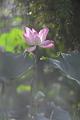 IMG-20250630-WA0120