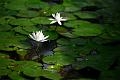 IMG-20250630-WA0121
