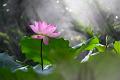 IMG-20250630-WA0122