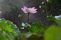 IMG-20250630-WA0124