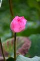 IMG-20250630-WA0125