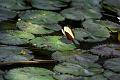 IMG-20250630-WA0126