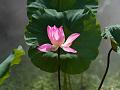 IMG-20250630-WA0127