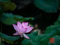 IMG-20250701-WA0000