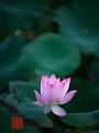 IMG-20250701-WA0002