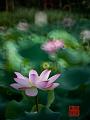 IMG-20250701-WA0004