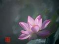 IMG-20250701-WA0005