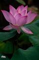 IMG-20250701-WA0014