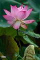 IMG-20250701-WA0015