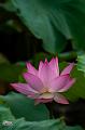 IMG-20250701-WA0017