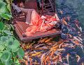 IMG-20250701-WA0028