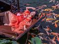 IMG-20250701-WA0030