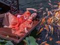 IMG-20250701-WA0031