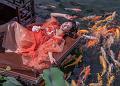 IMG-20250701-WA0032