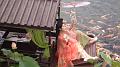 IMG-20250701-WA0095