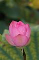 IMG-20250701-WA0108