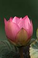 IMG-20250701-WA0109