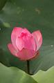 IMG-20250701-WA0110