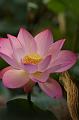 IMG-20250701-WA0113