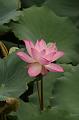 IMG-20250701-WA0114