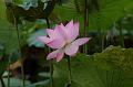 IMG-20250701-WA0115