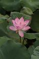 IMG-20250701-WA0118
