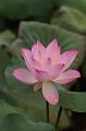 IMG-20250701-WA0119