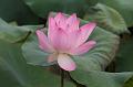 IMG-20250701-WA0122