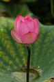 IMG-20250702-WA0005