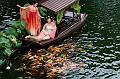 IMG-20250702-WA0008