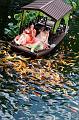 IMG-20250702-WA0011