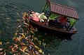IMG-20250702-WA0013
