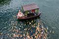 IMG-20250702-WA0015