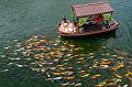 IMG-20250702-WA0016
