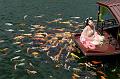 IMG-20250702-WA0017