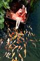 IMG-20250702-WA0019