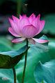 IMG-20250702-WA0035