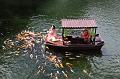 IMG-20250704-WA0134